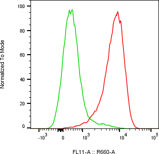 Rabbit-anti NTRK2 monoclonal antibody