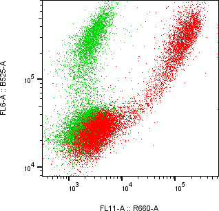 Rabbit-anti LYG1 monoclonal antibody