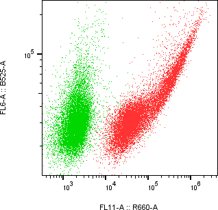 Rabbit-anti CPXM2 monoclonal antibody