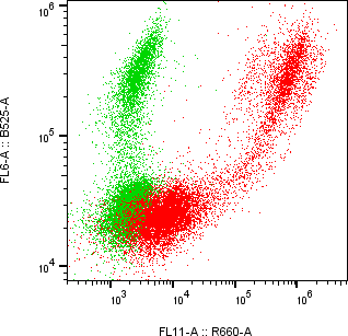 Rabbit-anti LYG1 monoclonal antibody