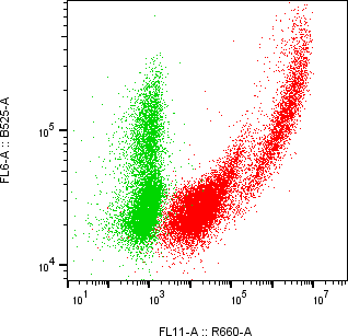 Rabbit-anti ICAM2 monoclonal antibody