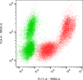 Rabbit-anti APOD monoclonal antibody