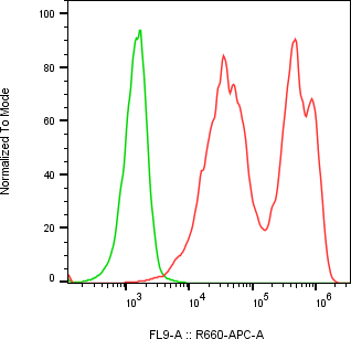 Rabbit-anti REG1B monoclonal antibody