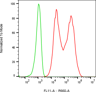 Rabbit-anti WFDC1 monoclonal antibody