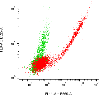 Rabbit-anti CDH13 monoclonal antibody