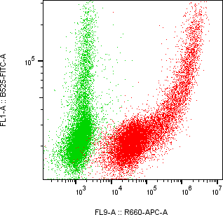 Rabbit-anti SPINT1 monoclonal antibody