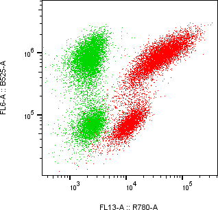 Rabbit-anti CXCL5 monoclonal antibody