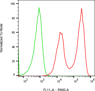 Rabbit-anti INSL4 monoclonal antibody