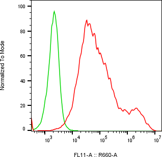 Rabbit-anti MXRA8 monoclonal antibody