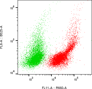 Rabbit-anti MFAP3 monoclonal antibody