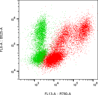 Rabbit-anti MMP9 monoclonal antibody