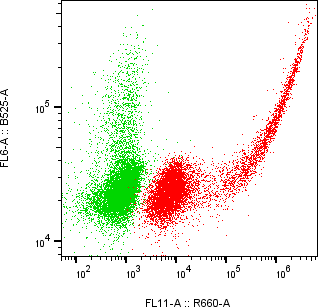 Rabbit-anti CD300LG monoclonal antibody