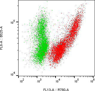 Rabbit-anti OSM monoclonal antibody