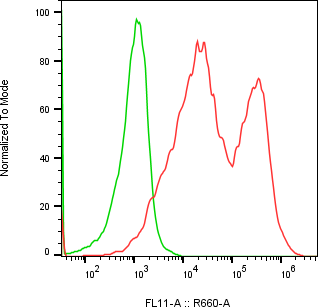 Rabbit-anti SEMA4B monoclonal antibody