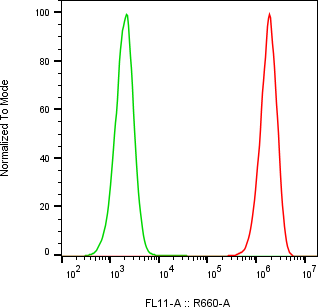 Rabbit-anti CD44 monoclonal antibody