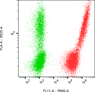 Rabbit-anti SFTPD monoclonal antibody
