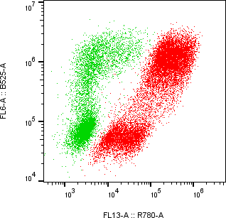 Rabbit-anti CGB5 monoclonal antibody