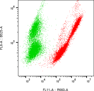 Rabbit-anti IGFBP4 monoclonal antibody