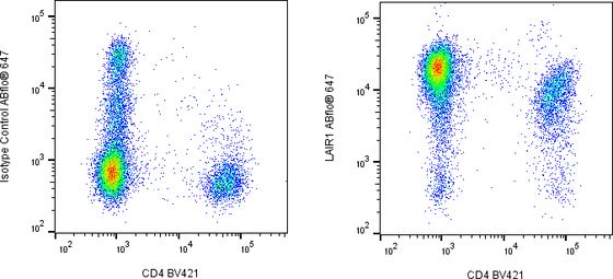 Rabbit-anti LAIR1 monoclonal antibody