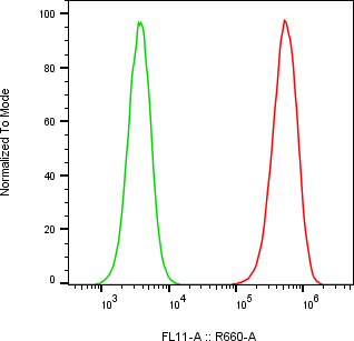 Rabbit-anti CD44 monoclonal antibody