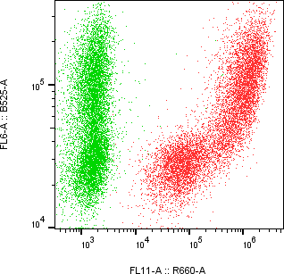 Rabbit-anti INSL4 monoclonal antibody