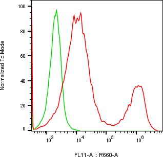 Rabbit-anti NECTIN4 monoclonal antibody