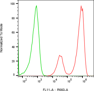Rabbit-anti CYTL1 monoclonal antibody