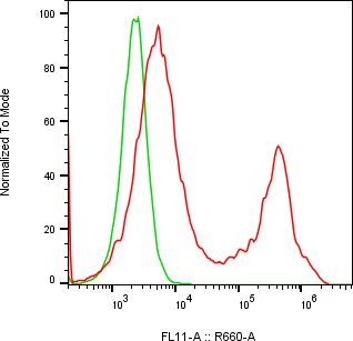 Rabbit-anti LYG1 monoclonal antibody