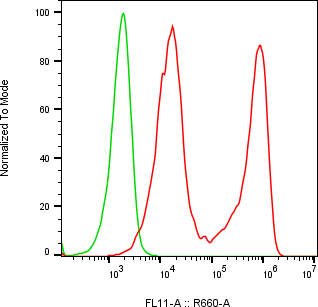 Rabbit-anti CD83 monoclonal antibody