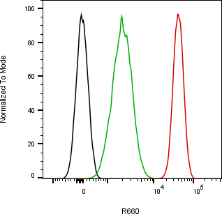 Rabbit-anti SCGB1A1 monoclonal antibody