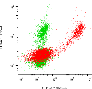 Rabbit-anti TFF2 monoclonal antibody