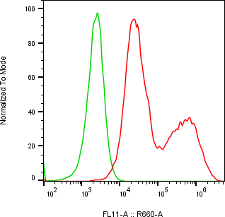 Rabbit-anti SPINK13 monoclonal antibody