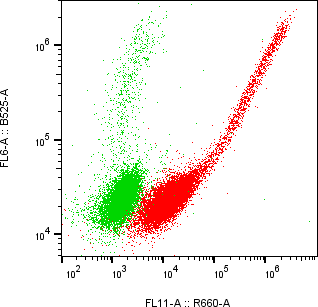 Rabbit-anti BPIFA2 monoclonal antibody
