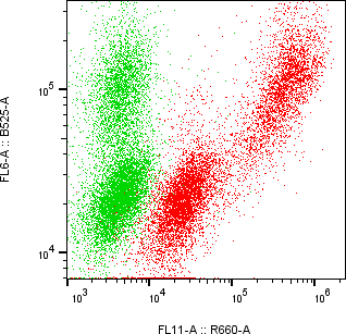 Rabbit-anti PSG5 monoclonal antibody