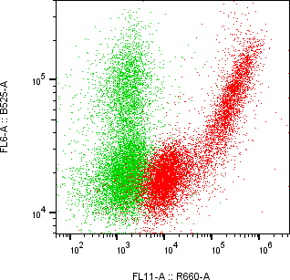 Rabbit-anti GIF monoclonal antibody