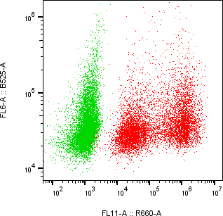 Rabbit-anti TREM1 monoclonal antibody