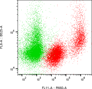 Rabbit-anti CTSO monoclonal antibody