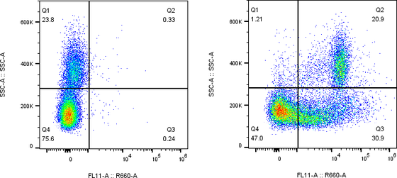 Rabbit-anti CD38 monoclonal antibody