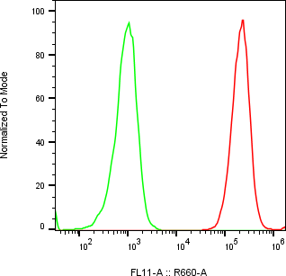 Rabbit-anti CD58 monoclonal antibody