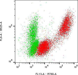 Rabbit-anti LYZ monoclonal antibody