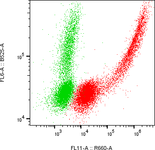 Rabbit-anti PSG5 monoclonal antibody