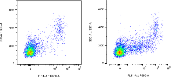 Rabbit-anti LILRB3 monoclonal antibody