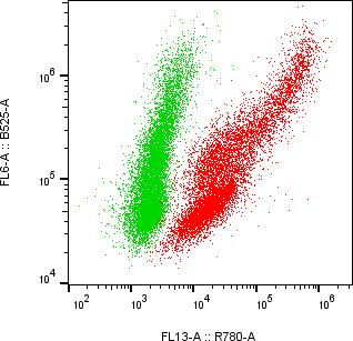 Rabbit-anti KIR3DL2 monoclonal antibody
