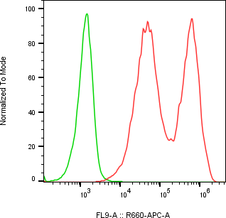 Rabbit-anti SPINK1 monoclonal antibody