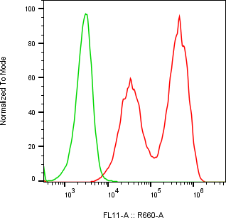 Rabbit-anti MMP1 monoclonal antibody
