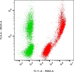 Rabbit-anti CPA2 monoclonal antibody