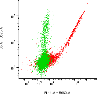 Rabbit-anti TIMD4 monoclonal antibody