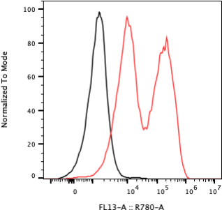 Rabbit-anti AGT monoclonal antibody