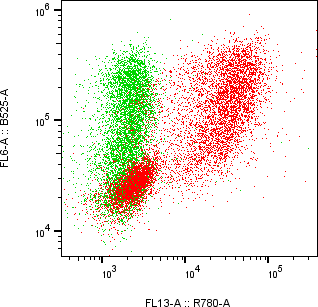 Rabbit-anti C1S monoclonal antibody