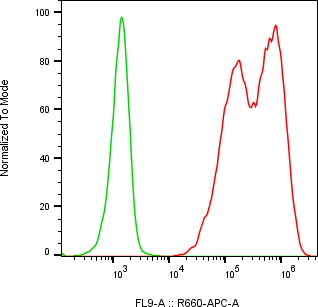 Rabbit-anti CCL16 monoclonal antibody